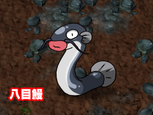 八目鰻