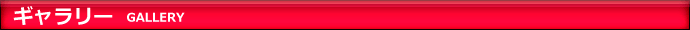 ギャラリー